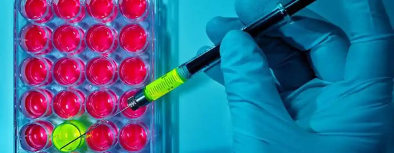 fetos-humanos-ingredientes-en-las-vacunas - 2017-04-18 - Vacunas1