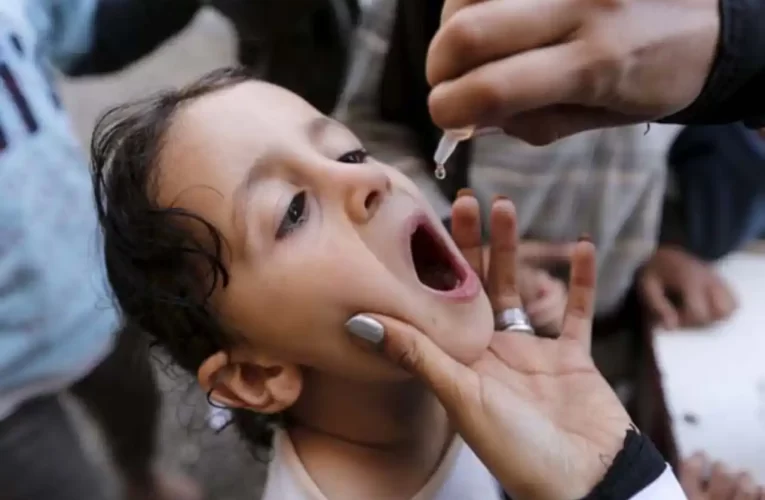 Los no vacunados no representan un riesgo a sus homólogos vacunados