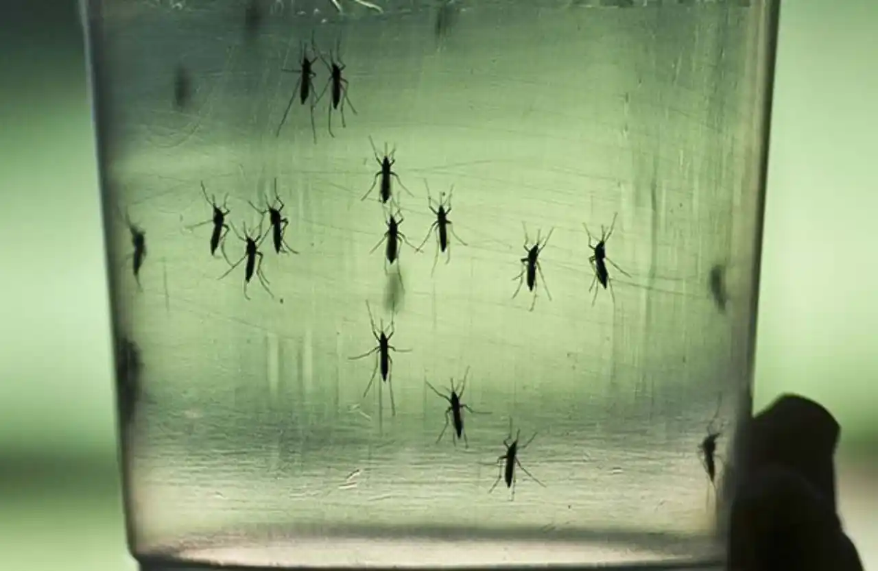 la-vacuna-del-zika-va-a-alterar-su-adn - 2017-04-02 - Zika3