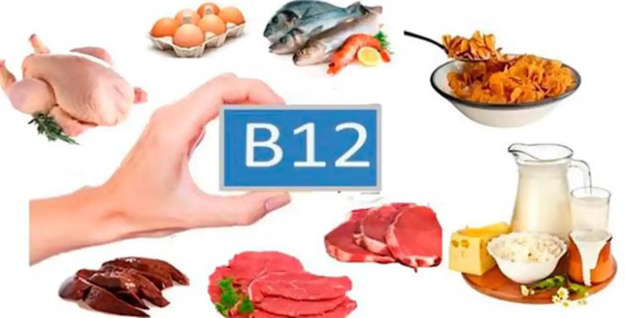 vitamina-b-12-la-deficiencia-de-la-vitamina - 2017-05-22 - B12 Alimentos