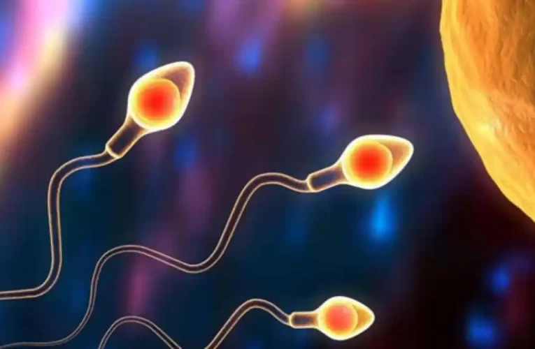 El análisis de esperma de hombres occidentales cae en picada