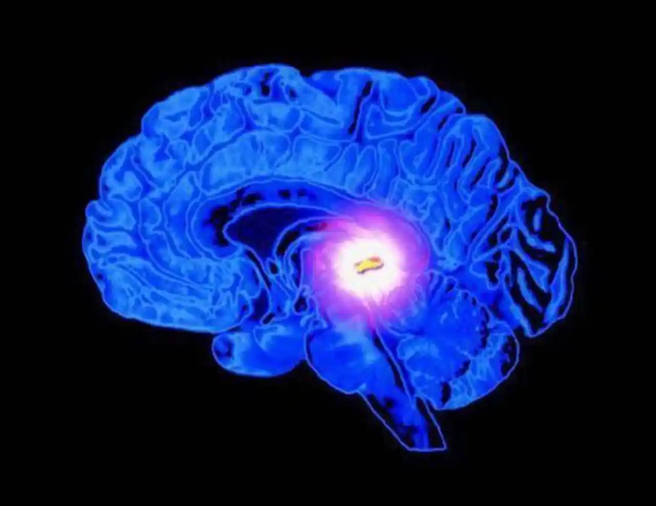 00 Glándula pineal: sintoniza frecuencias espirituales 00