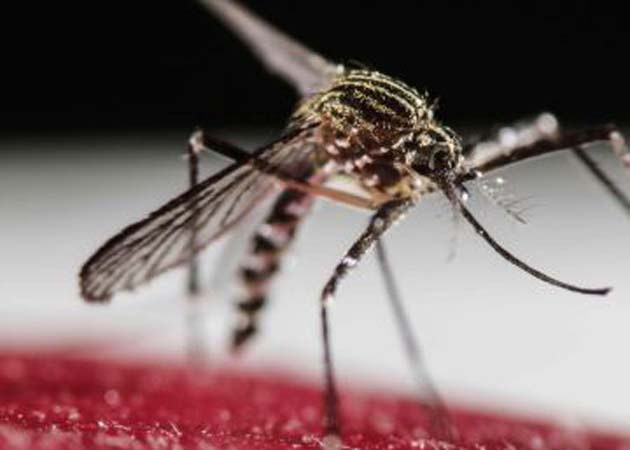 00 Virus Zika: Rockefeller es dueño de la patente 00