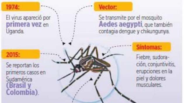 zika_emergencia La OMS declaró emergencia sanitaria mundial por el Virus Zika
