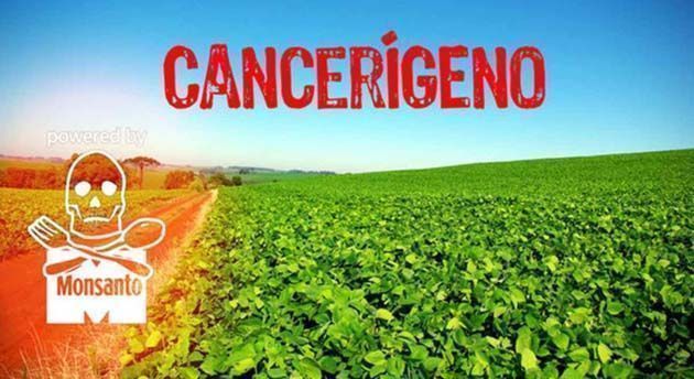 Monsanto encubre los peligros cancerígenos del glifosato Roundup