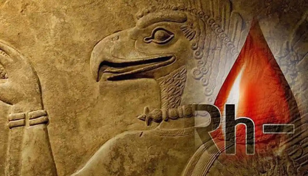 sangre-rh-negativo-rhesus-negativo - 2017-10-31 - Sangre10