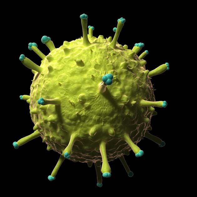 virus-4 EE.UU levantó la prohibición para la producción de virus mortales