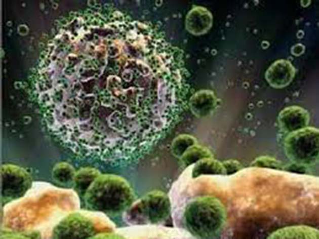 virus-mortales EE.UU levantó la prohibición para la producción de virus mortales