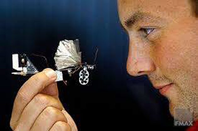 drone_mariposa Desde 1970 la CIA utiliza drones para propagar enfermedades