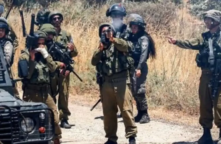 Un niño palestino de 3 años recibió un disparo en la cabeza de militares israelíes