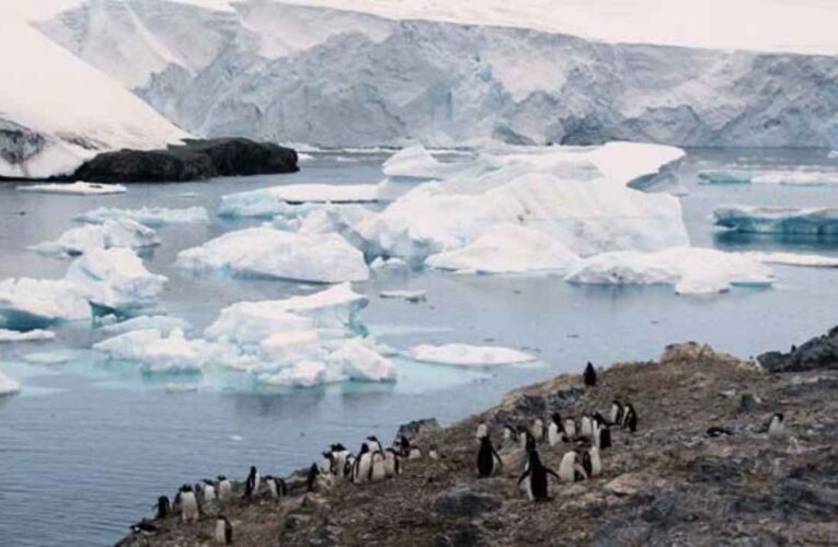 La Antártida se derrite, las líneas de tierra se retiran en el fondo marino