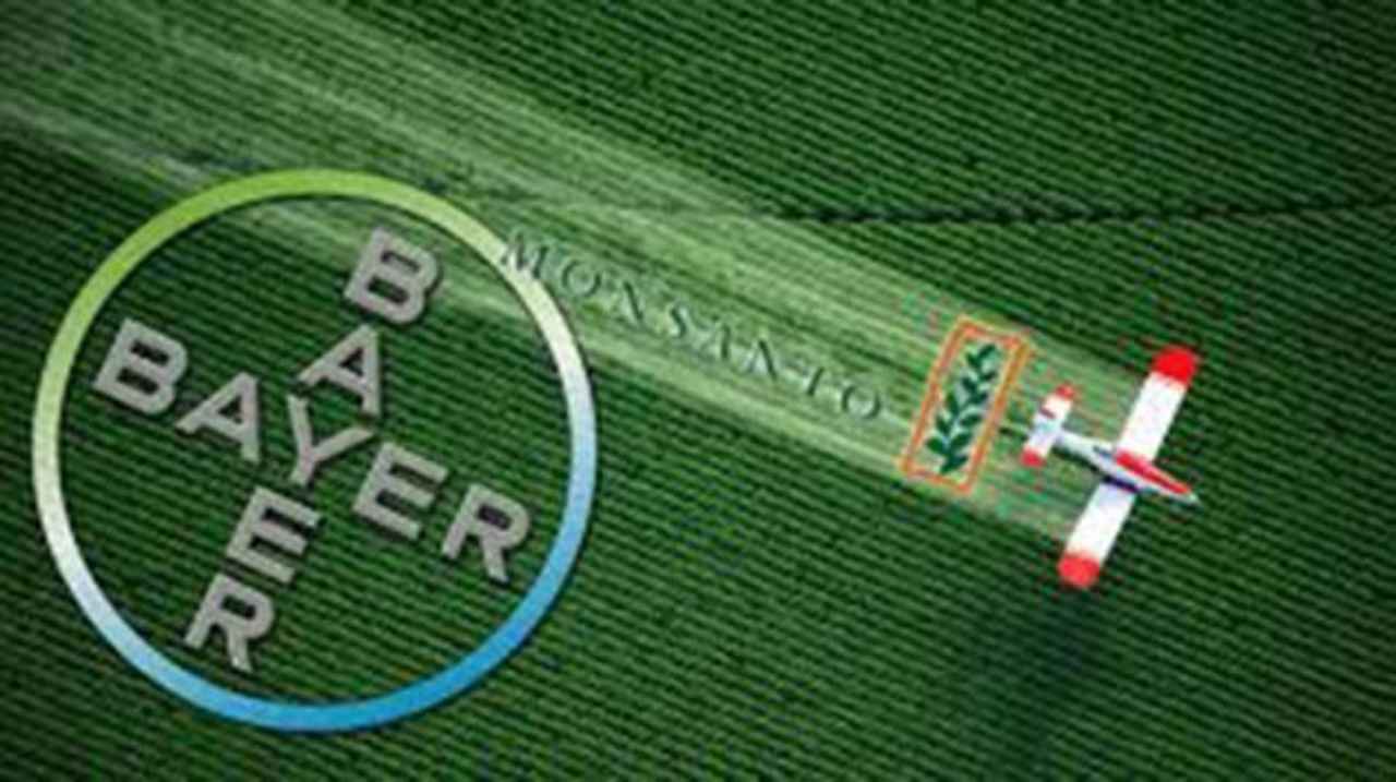 00 Agrícola Monsanto: en adelante llamará Bayer 00