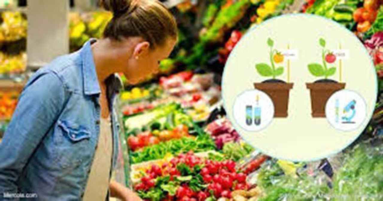 00 Organismos genéticamente modificados infertilidad 00