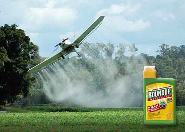 monsanto1 Ocultó la verdad sobre los peligros de sus herbicidas