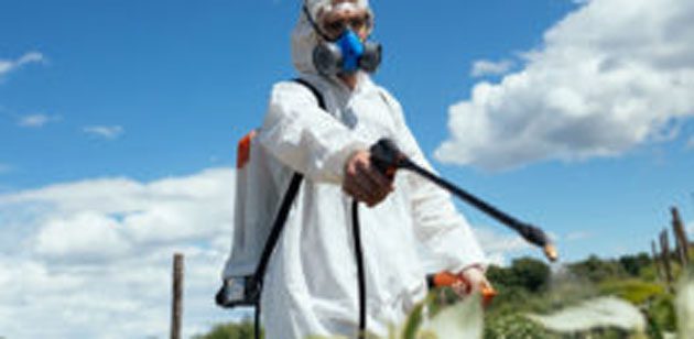 monsanto_juicio Ocultó la verdad sobre los peligros de sus herbicidas