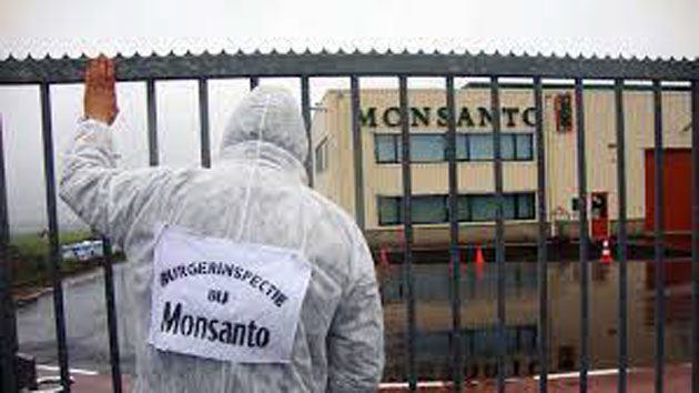 monsanto_tribunales Ocultó la verdad sobre los peligros de sus herbicidas