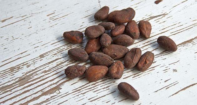 cacao Presentes en el cacao son responsables de aumentar la calma