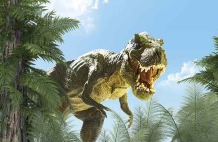 El Tiranosaurio Rex es el carnívoro más terrible que caminó sobre la Tierra