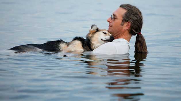 animales_agua Comunicadores animales: creen que la telepatía con mascotas es posible