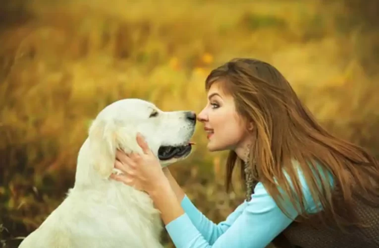 Comunicadores animales: creen que la telepatía con mascotas es posible