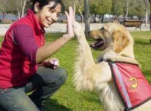 Los comunicadores animales se especializan en telepatía con mascotas