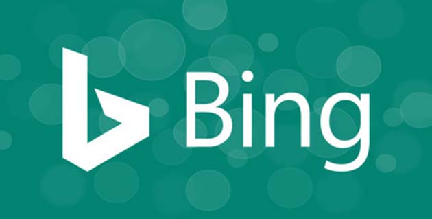 bing Instalar Bing da resultados horribles para algunos términos de búsqueda