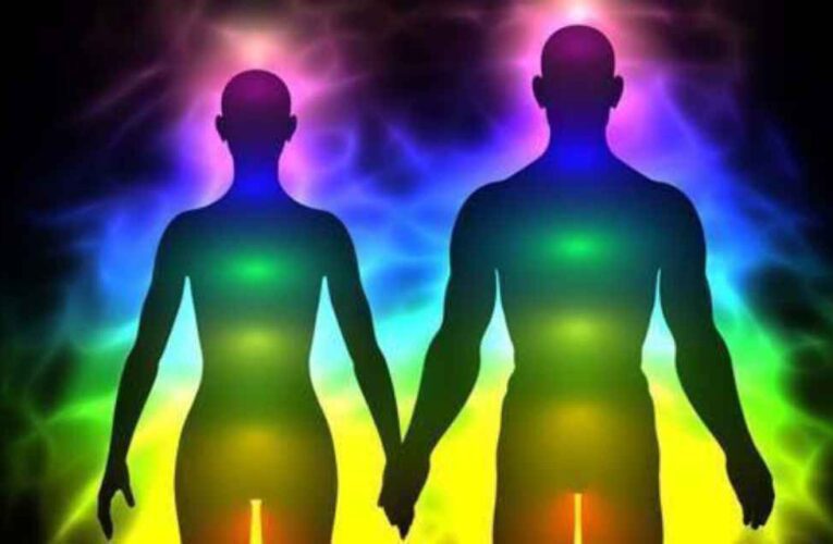 Las plantas pueden absorber energías de otras plantas