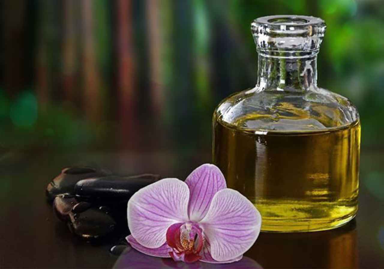 aceite-de-ricino-para-el-pelo-mata-los-piojos - 2019-03-25 - Ricino Para El Pelo Remedio Natural 1