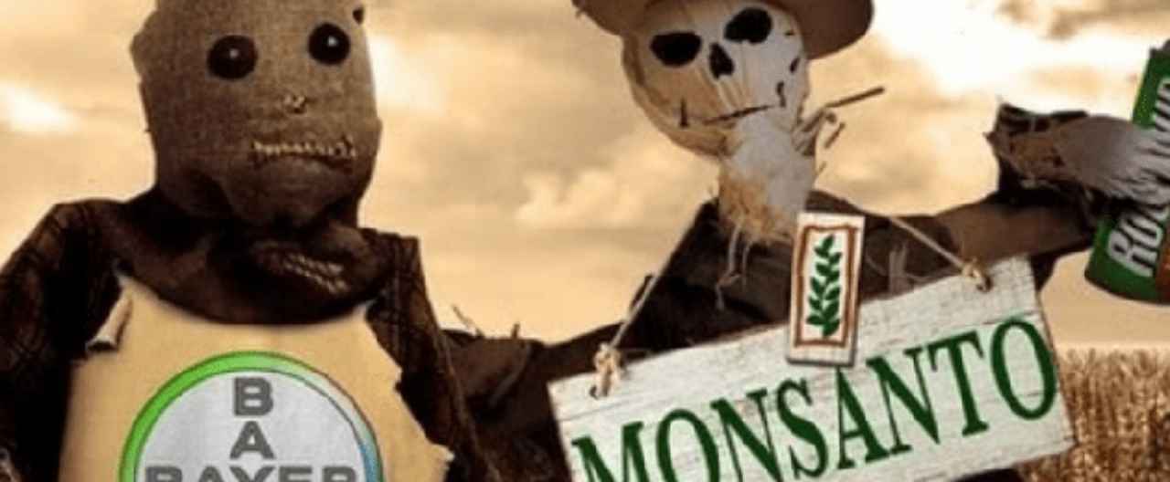bayer-monsanto-mas-de-42000-demandantes - 2019-11-02 - Bayer Cancer
