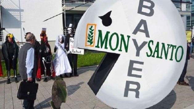 00  Bayer Monsanto: más de 42.000 demandantes  00