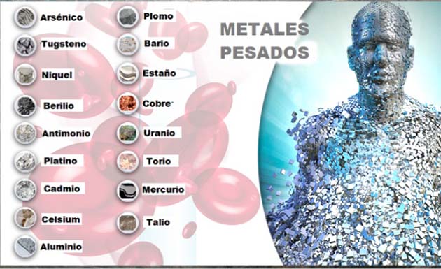 metales-pesados Impactos diarios de toxicidad por metales pesados en la salud