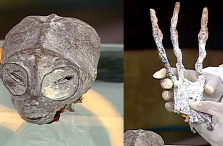 La Momia Nazca-Palpa de 3 dedos: una presentación en la universidad