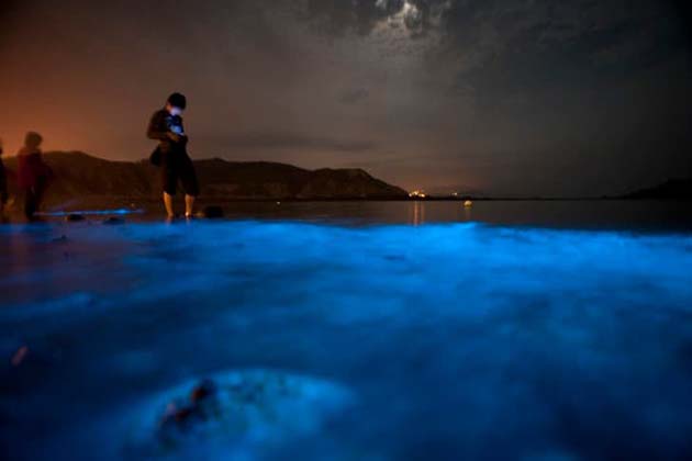 lagrimas_azules_toxicas Las brillantes "lágrimas azules" en los mares de China son TÓXICAS