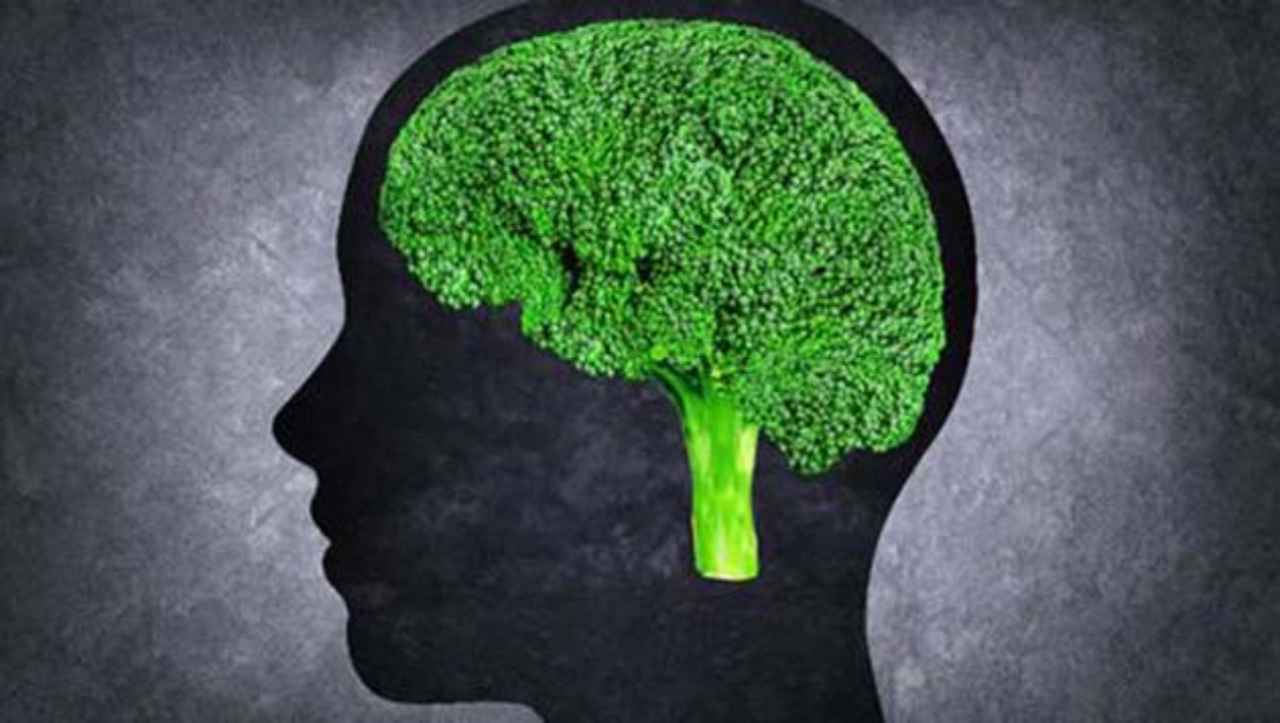 memoria-luteina-mejor-salud-cerebral - 2019-12-10 - Luteina Memoria 1