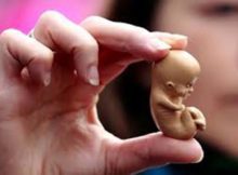 Abortos: 1 causa principal de muerte de los seres humanos