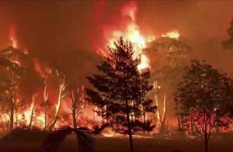 Acusado de encender fuego en medio de incendios forestales