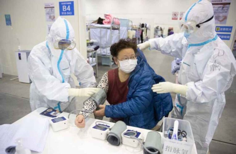 El virus ataca a los linfocitos T – Guía esencial