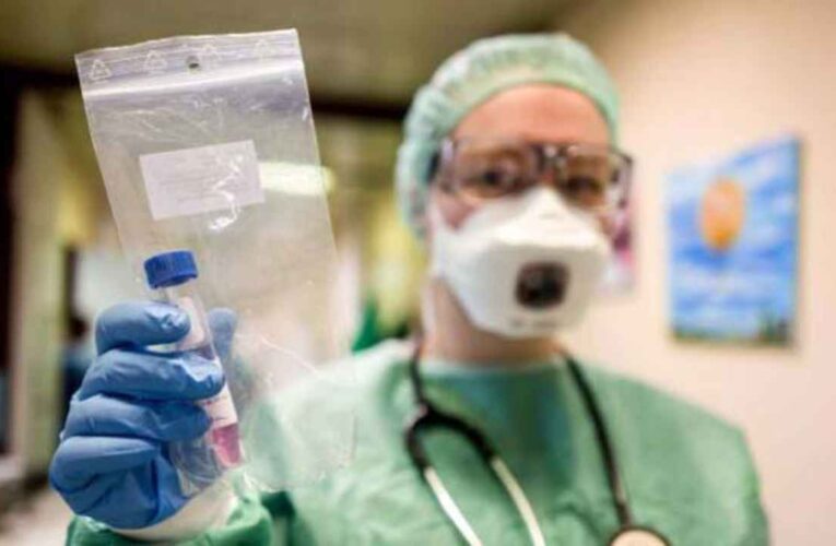 La Ivermectina «elimina el material viral» del coronavirus COVID-19 en 48 horas