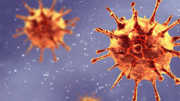 Los CDC: el coronavirus no es tan letal como afirman 0