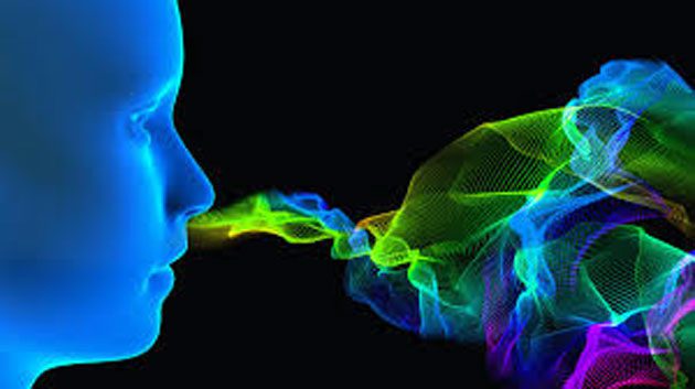 Olfato: cambios cerebrales causados ​​por la enfermedad 0