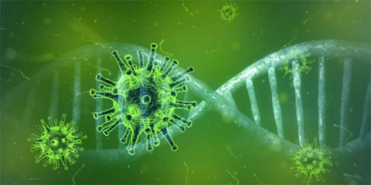 mutacion-hay-mas-de-una-cepa-del-covid-19-2 - 2020-07-09 - Coronavirus Arma 1