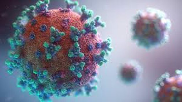 coronavirus_muta Mutación ha alterado en gran medida lo infeccioso y mortal que es el virus