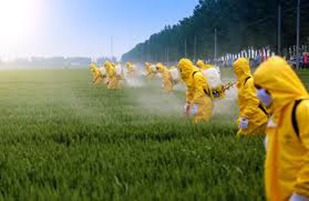 Descubriendo la verdad sobre los insecticidas y plaguicidas en los alimentos
