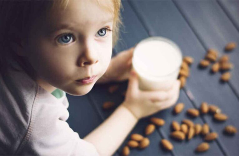 Leche vegetal: sustitutos de la leche a base de plantas