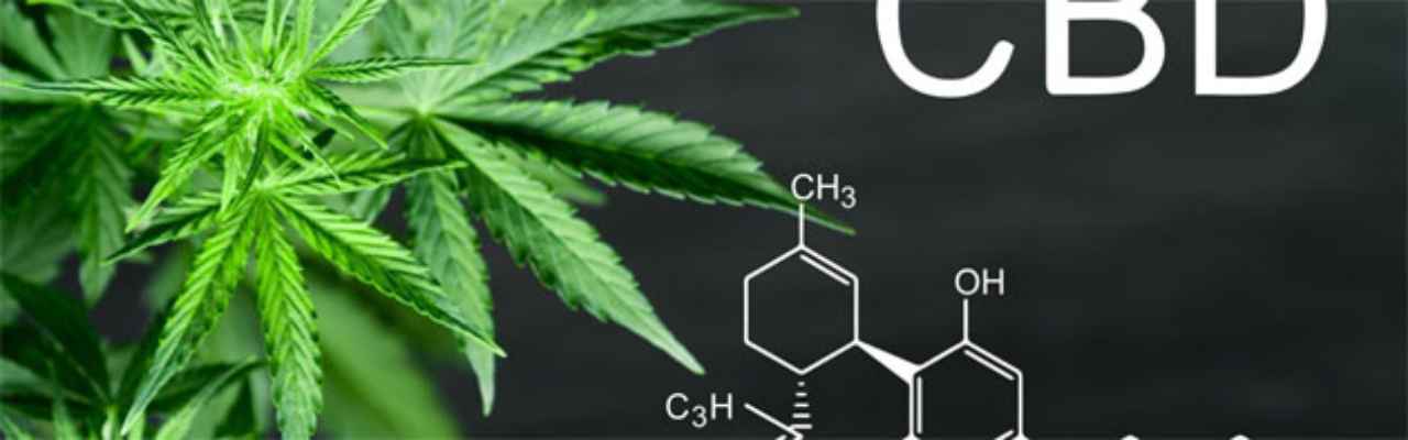 salud-prohibida-cbd-valiosos-efectos - 2020-09-10 - Cbd 1