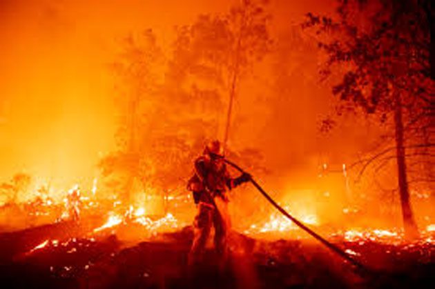 incendio Información de incendios forestales en el mundo