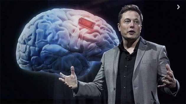00  Videos por youtube: neurociencia de Elon Musk  00