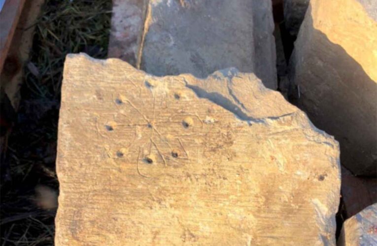 Extraños patrones circulares conocidos como «marca de la bruja»