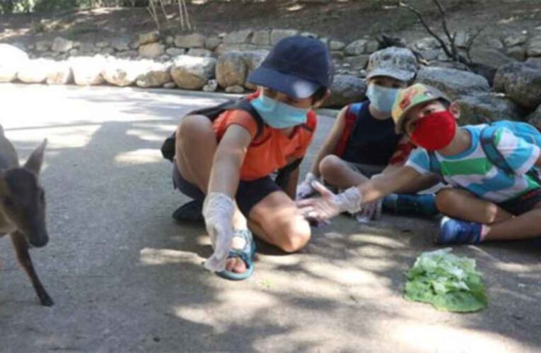 El daño cerebral causado por las mascarillas es irreversible