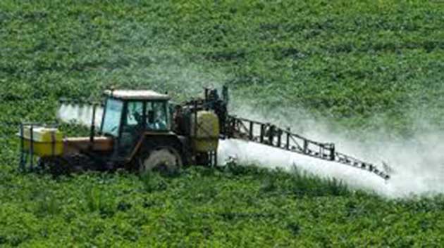 herbicidas_sustancias Algunos herbicidas pueden dañar más del 90% de las especies en peligro de extinción